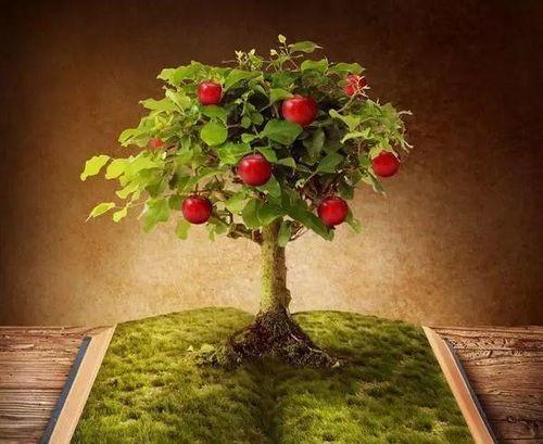 网红小鱼海棠吃瓜 第3张 网红小鱼海棠吃瓜 第3张